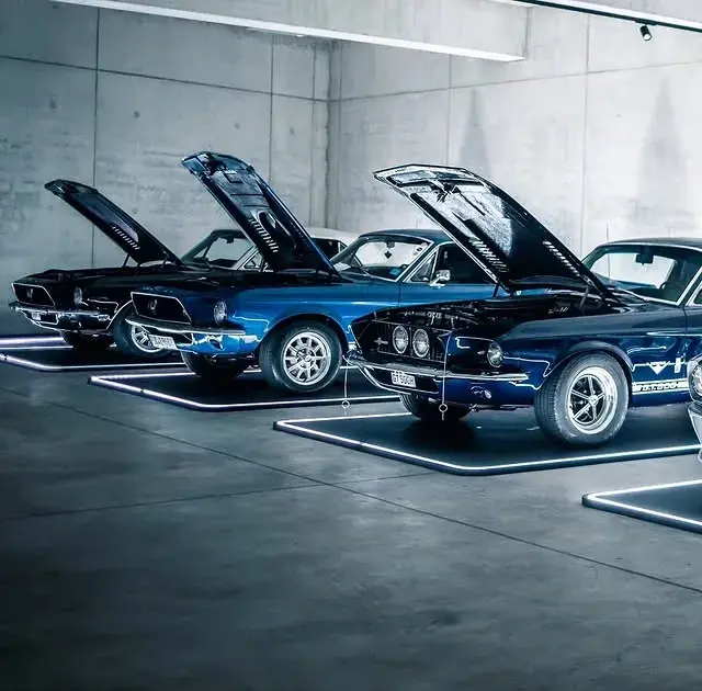 Classic Mustang display