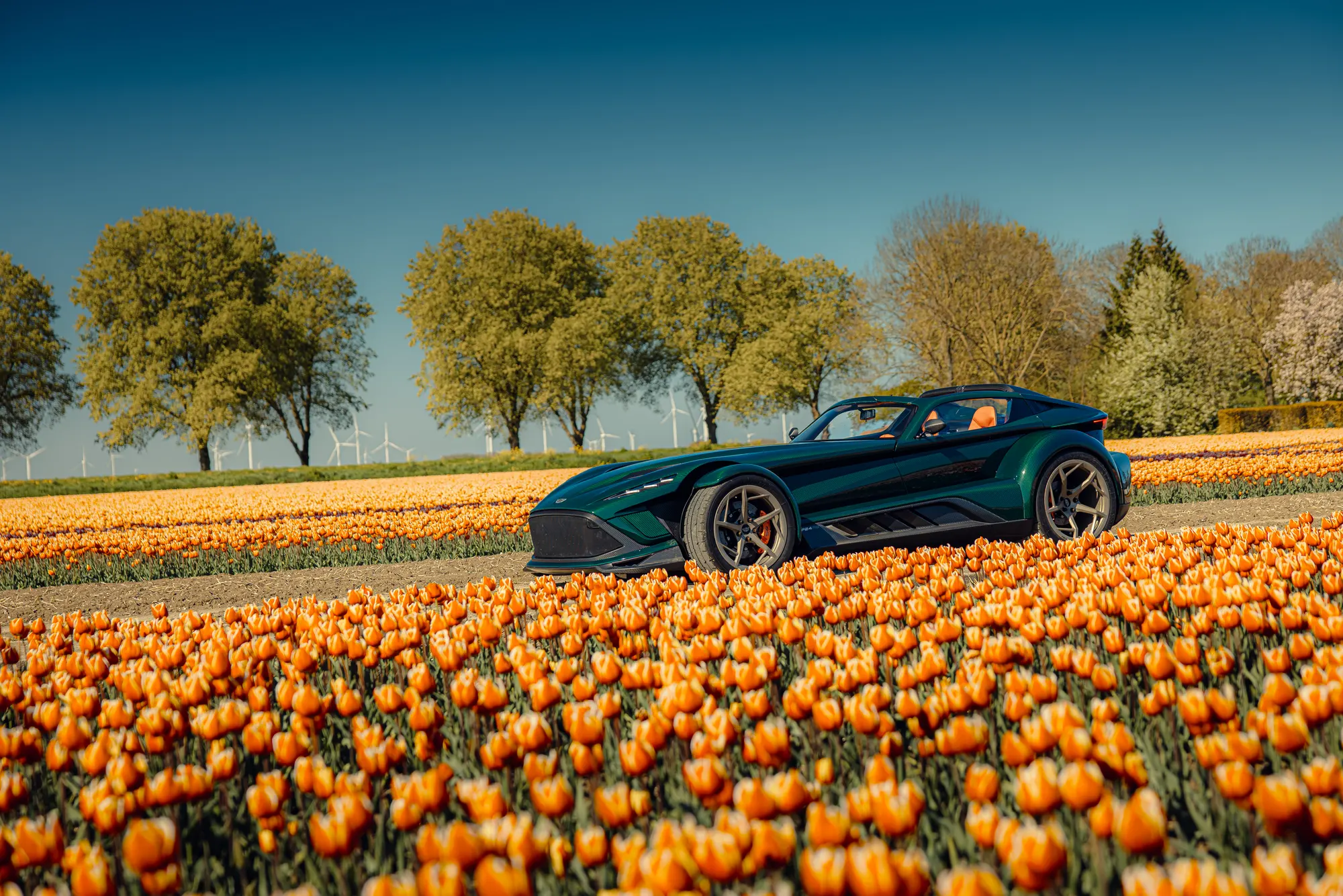 Donkervoort — Road / Tulips