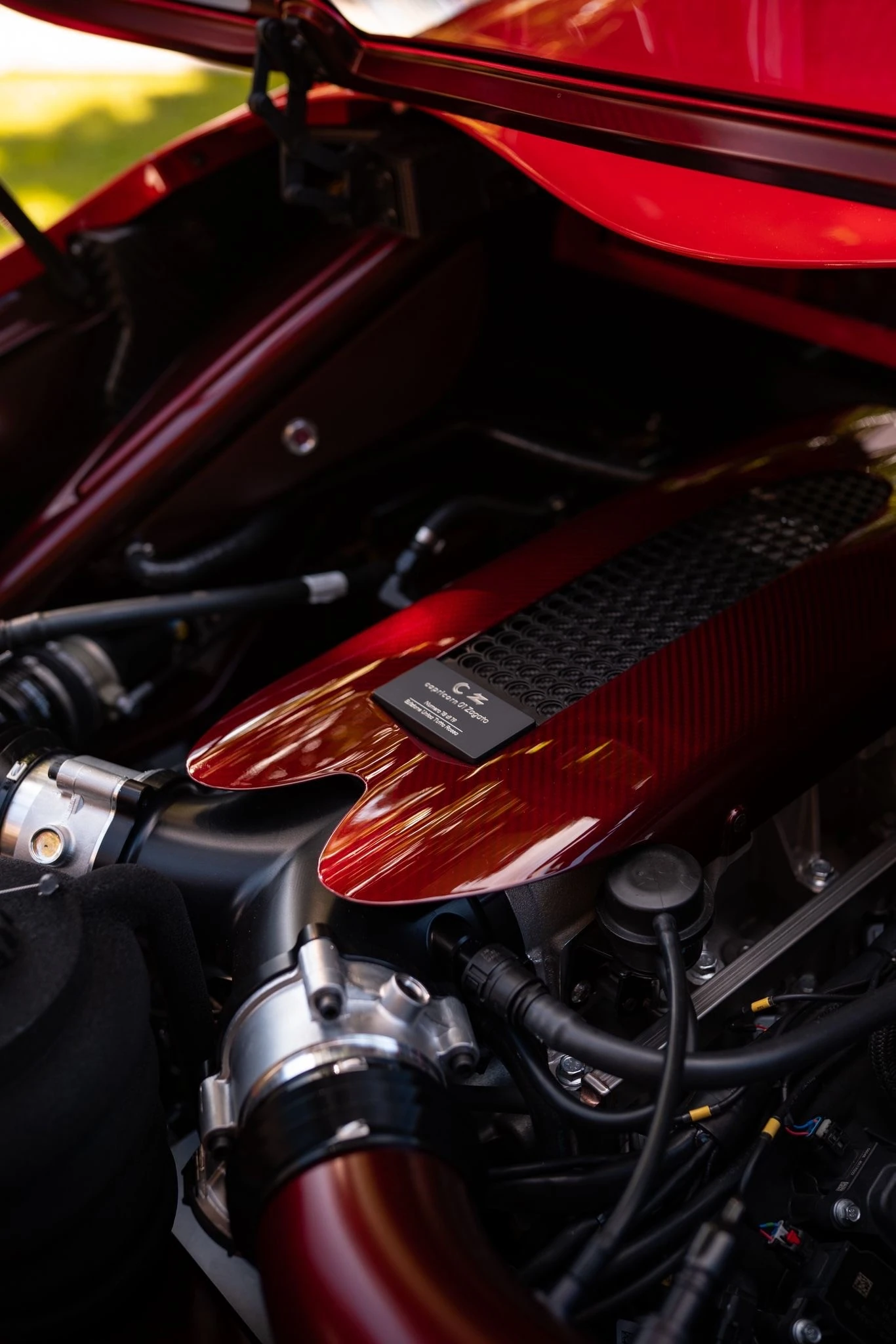 Close view of the Capricorn V8 engine bay with red detailing